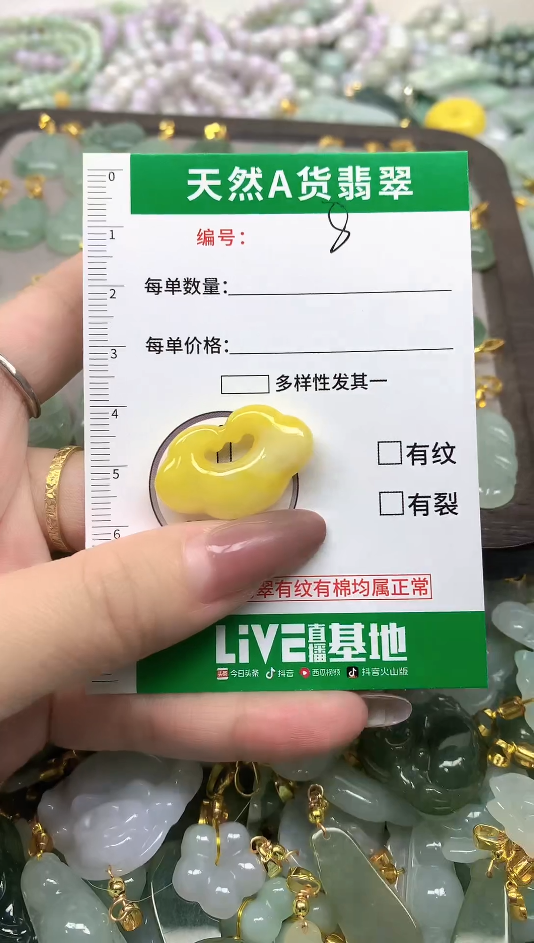 颈饰未镶嵌翡翠纯天然缅甸A货翡翠-8