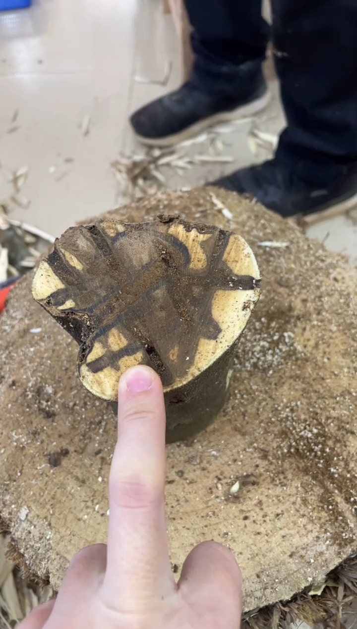 【闪购商品】沉香木沉香碎屑棋楠沉香 原料文创1