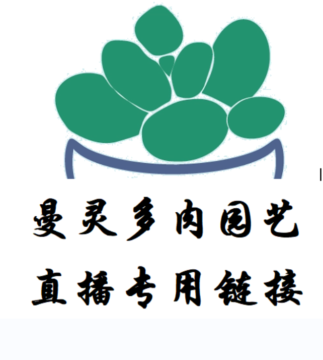 9月7日641-720一物一拍3-5cm精控多肉群生不包整