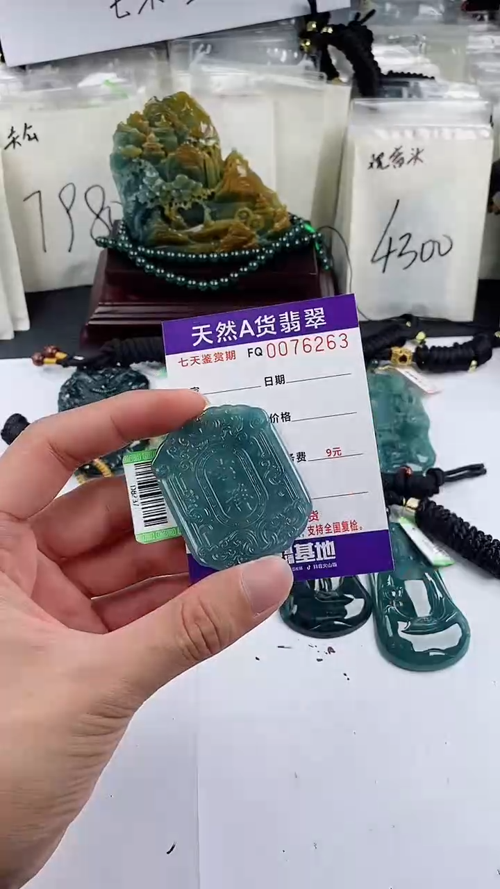 【闪购商品】翡翠颈饰未镶嵌