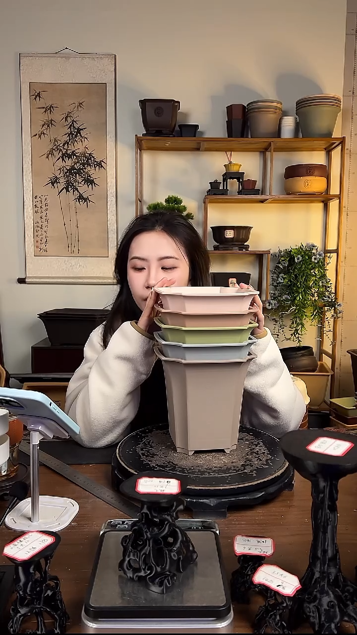 18*17.5四方尊 5只装混色