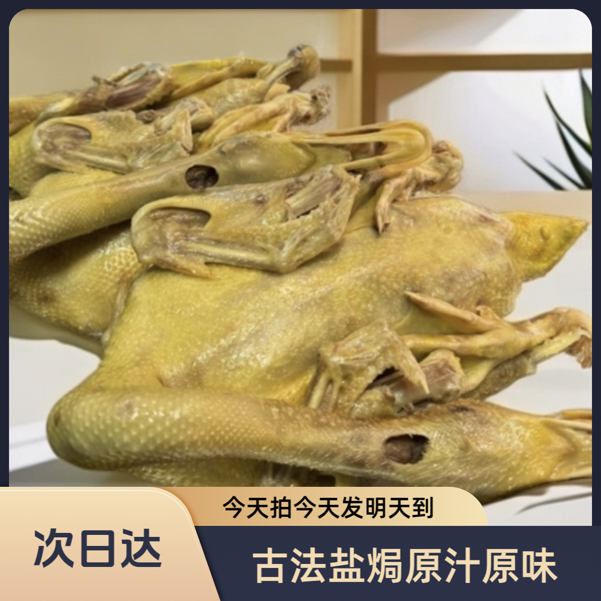 【顺丰直达】福建蒜香咸水鸭土楼特色蒜蓉盐水鸭大只1750g-2000g