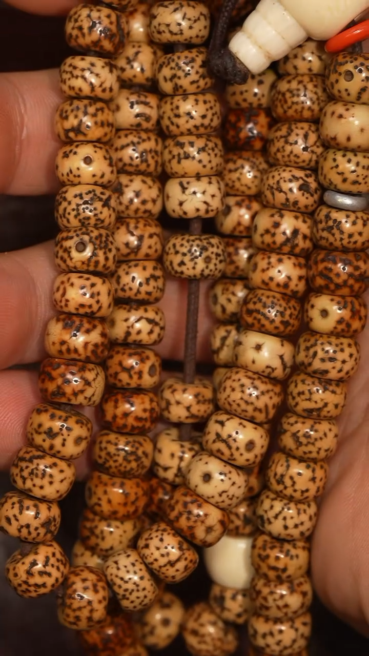 冲赛康胡子哥，藏传念珠194