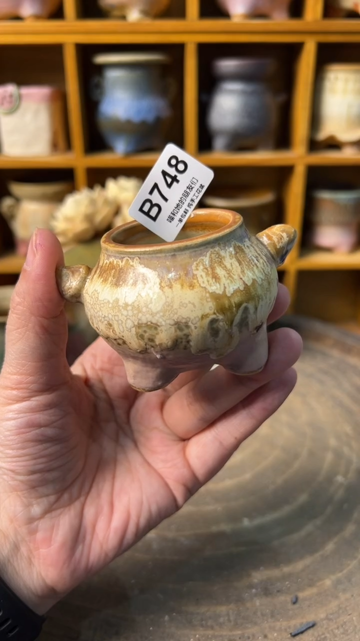 748 内口4【多肉花盆多肉盆】