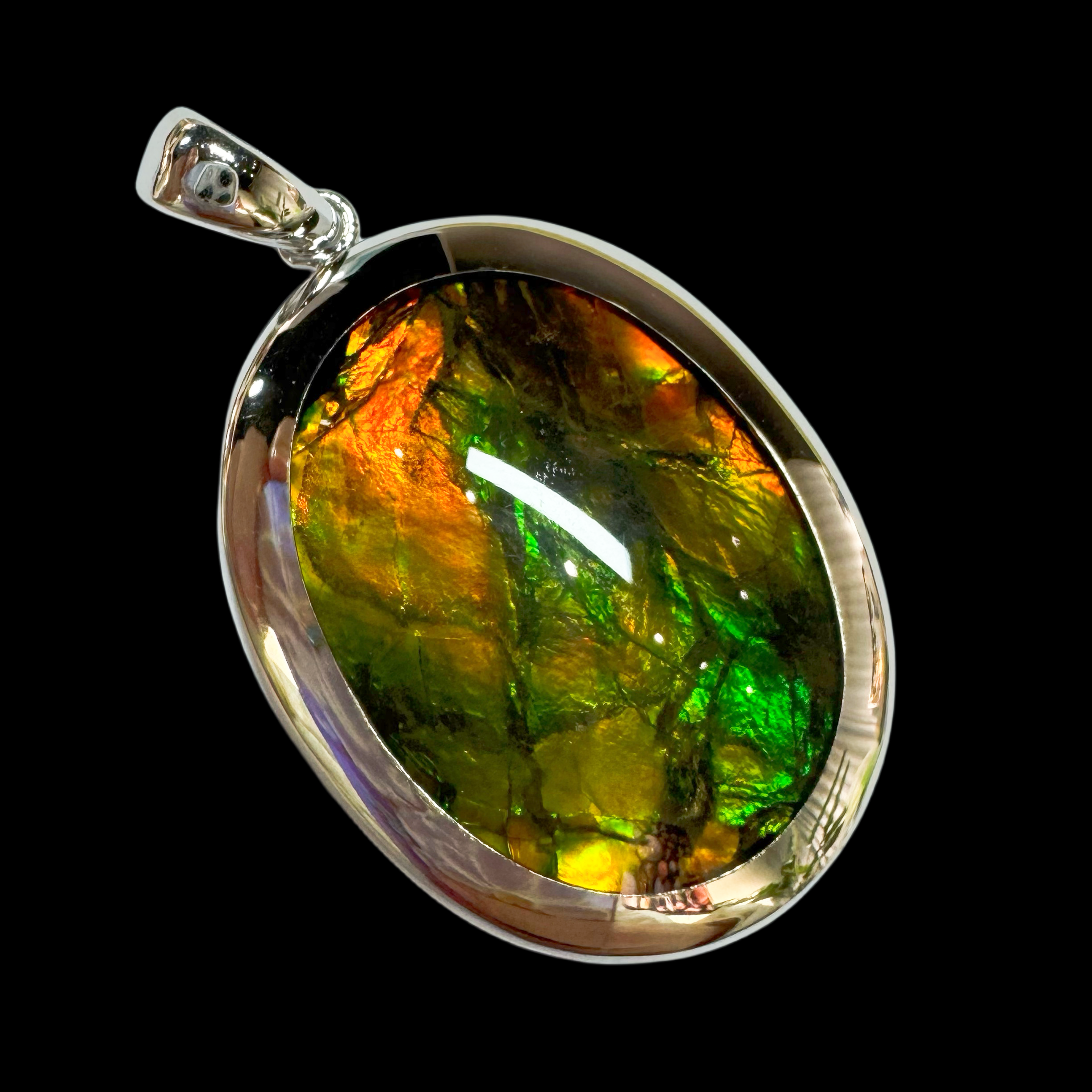 【古贝壳】31.5mm BC 加拿大 C6