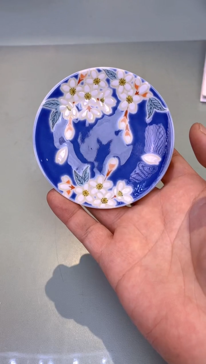 【闪购商品】瓷片08yang