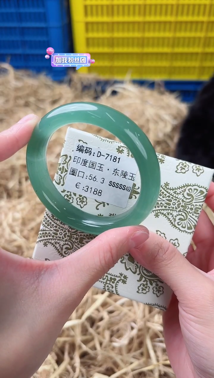 未镶嵌手镯石英质玉D-7181