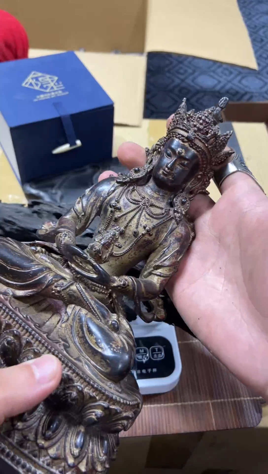 1清*精品瓷一物一拍定闪