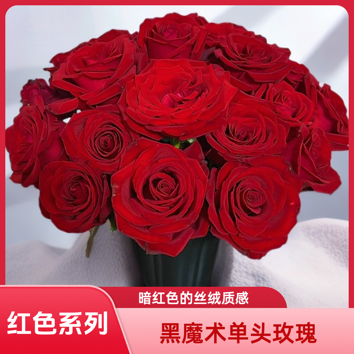 【AAA级黑魔术单头玫瑰】暗红色丝绒，随着灯光折射出的暗色高级光泽