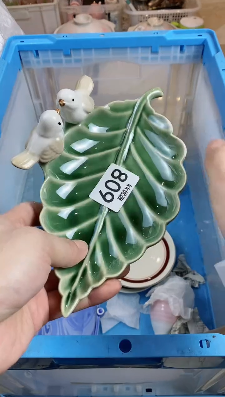 【闪购商品】瓷片809定向 红果实定向 红果实