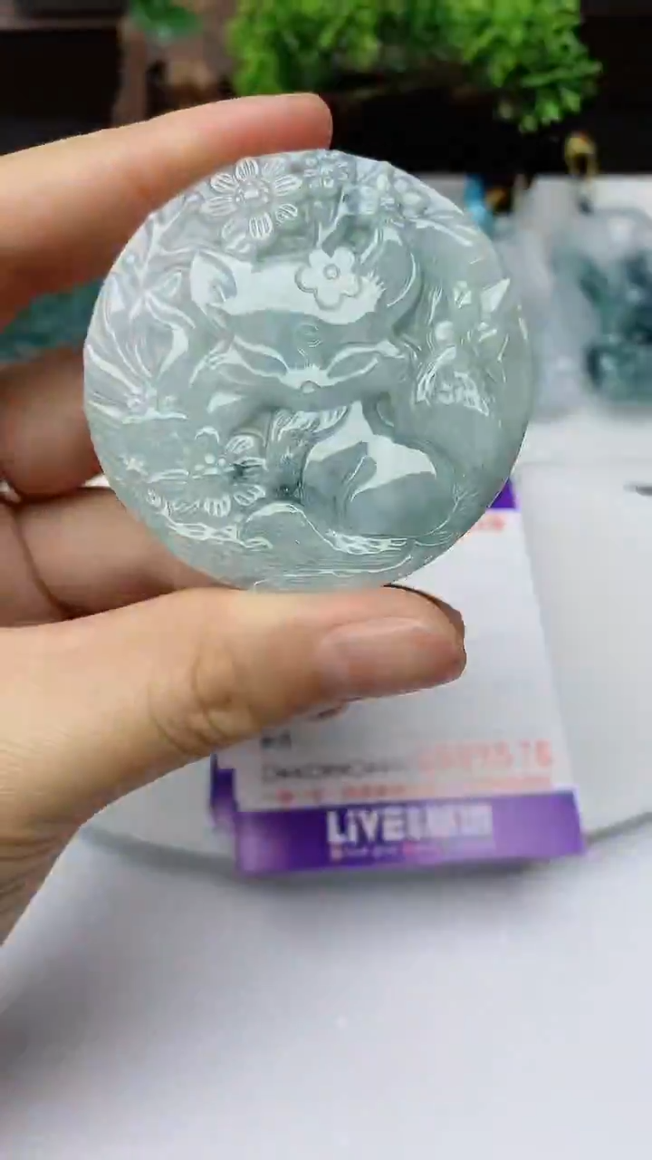 【闪购商品】翡翠颈饰未镶嵌