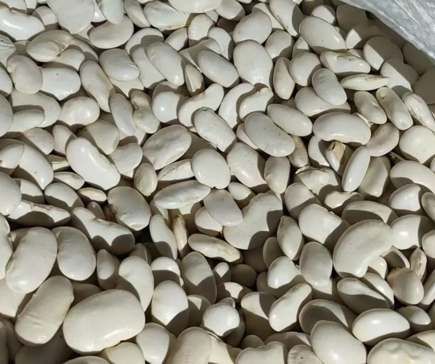 偏二哥山货农家白鼓豆