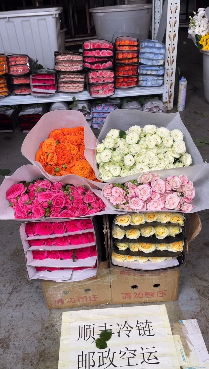 单头玫瑰20枝(任意色）+多头玫瑰2扎（任意2色）