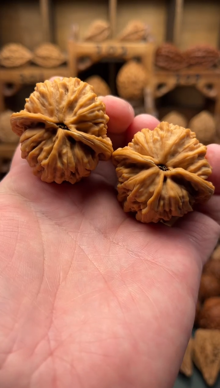 【闪购商品】文玩核桃吊坠DJ完全体