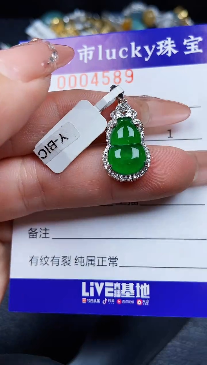 翡翠银S925镶嵌颈饰4589