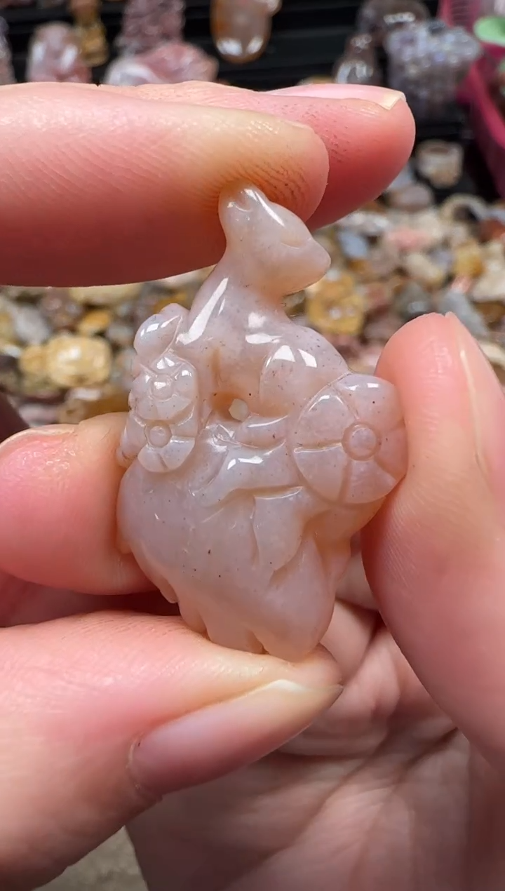 颈饰未镶嵌硅化珊瑚（珊瑚玉）449