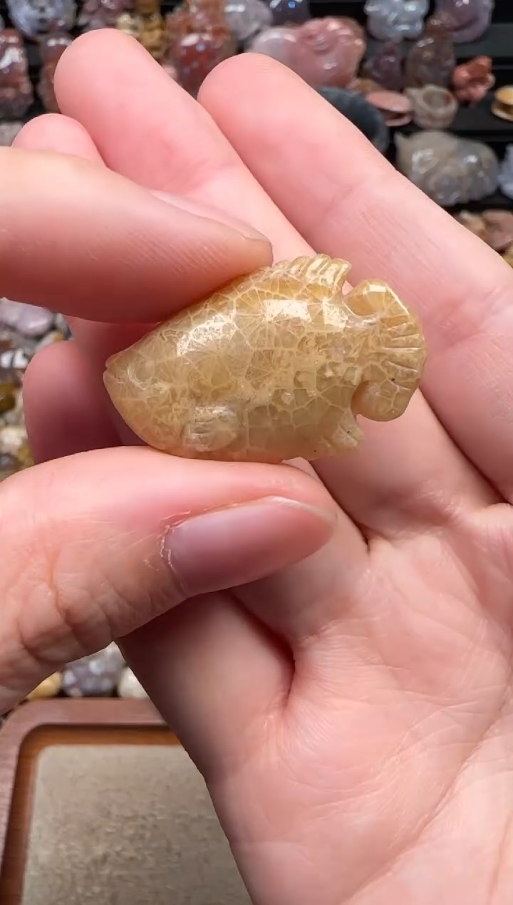 颈饰未镶嵌硅化珊瑚（珊瑚玉）469
