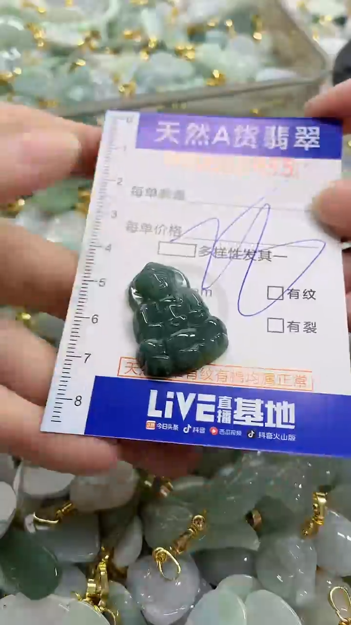 颈饰未镶嵌翡翠天然A货翡翠