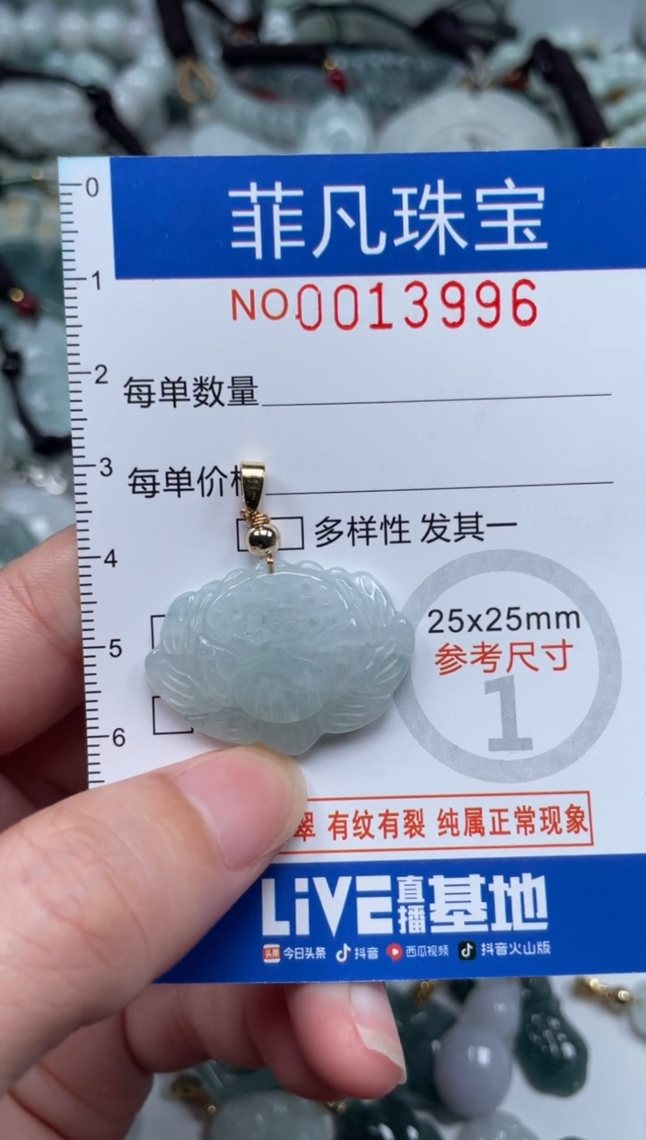 颈饰未镶嵌翡翠13996