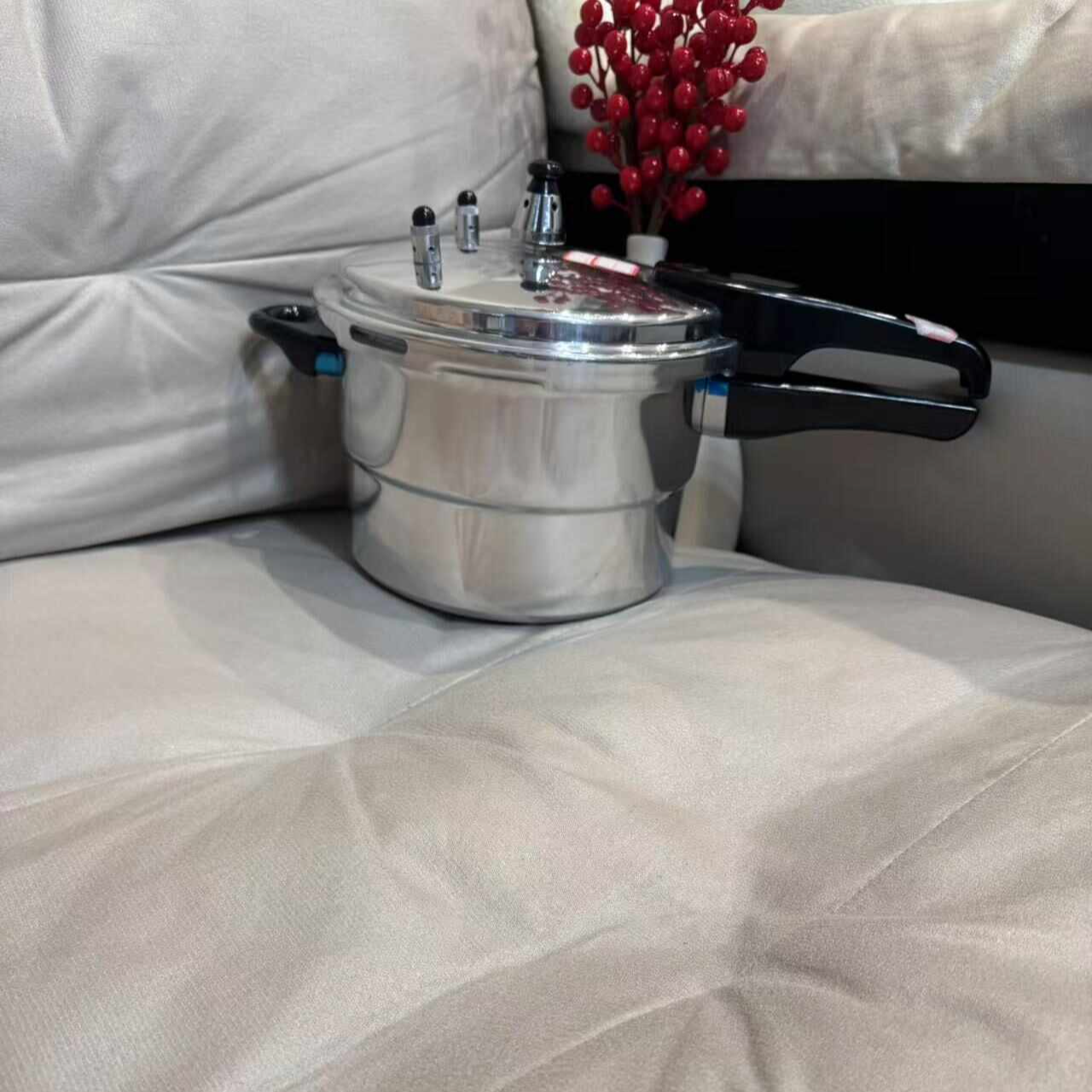 高压锅 大容量锅-颜色随机发 RS