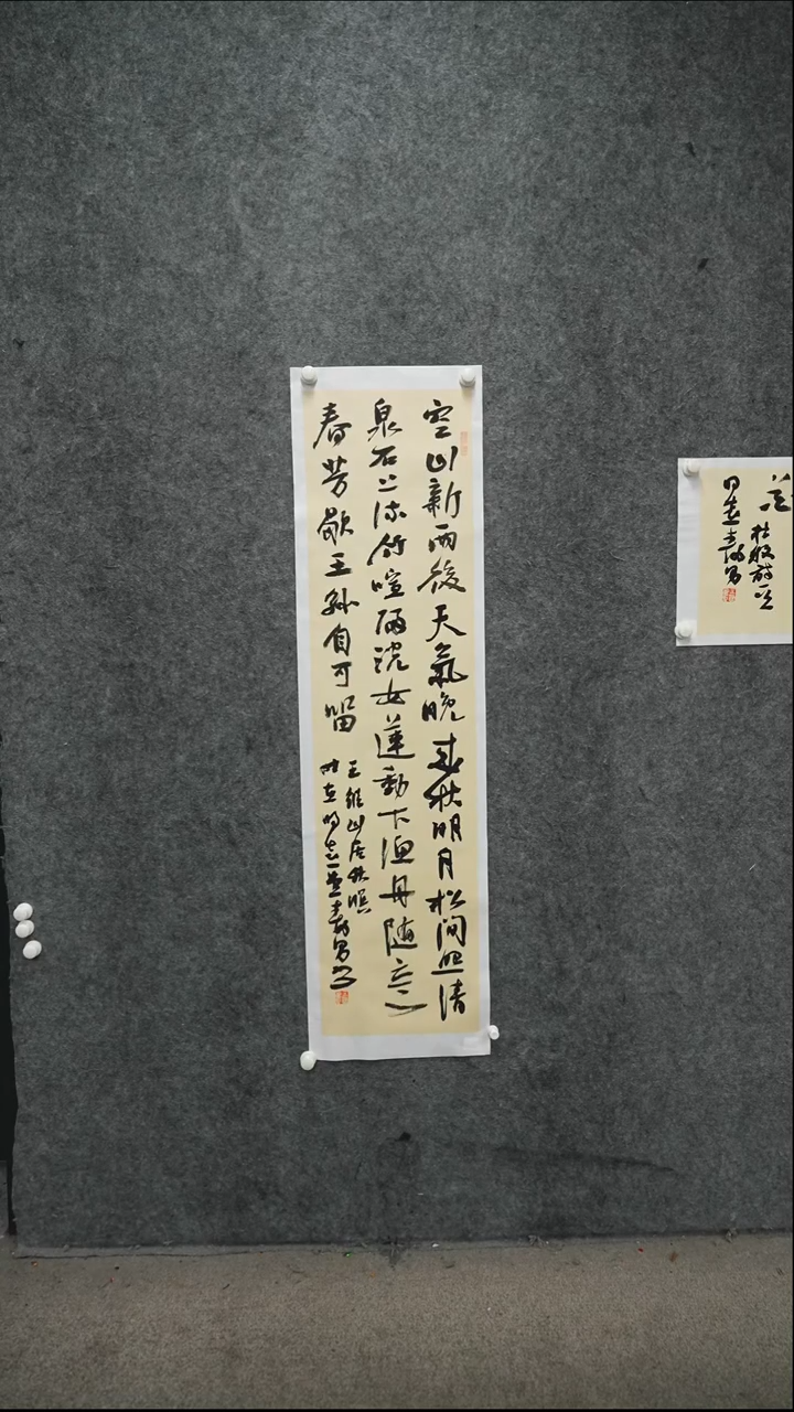 书法书法JSN老师书法作品