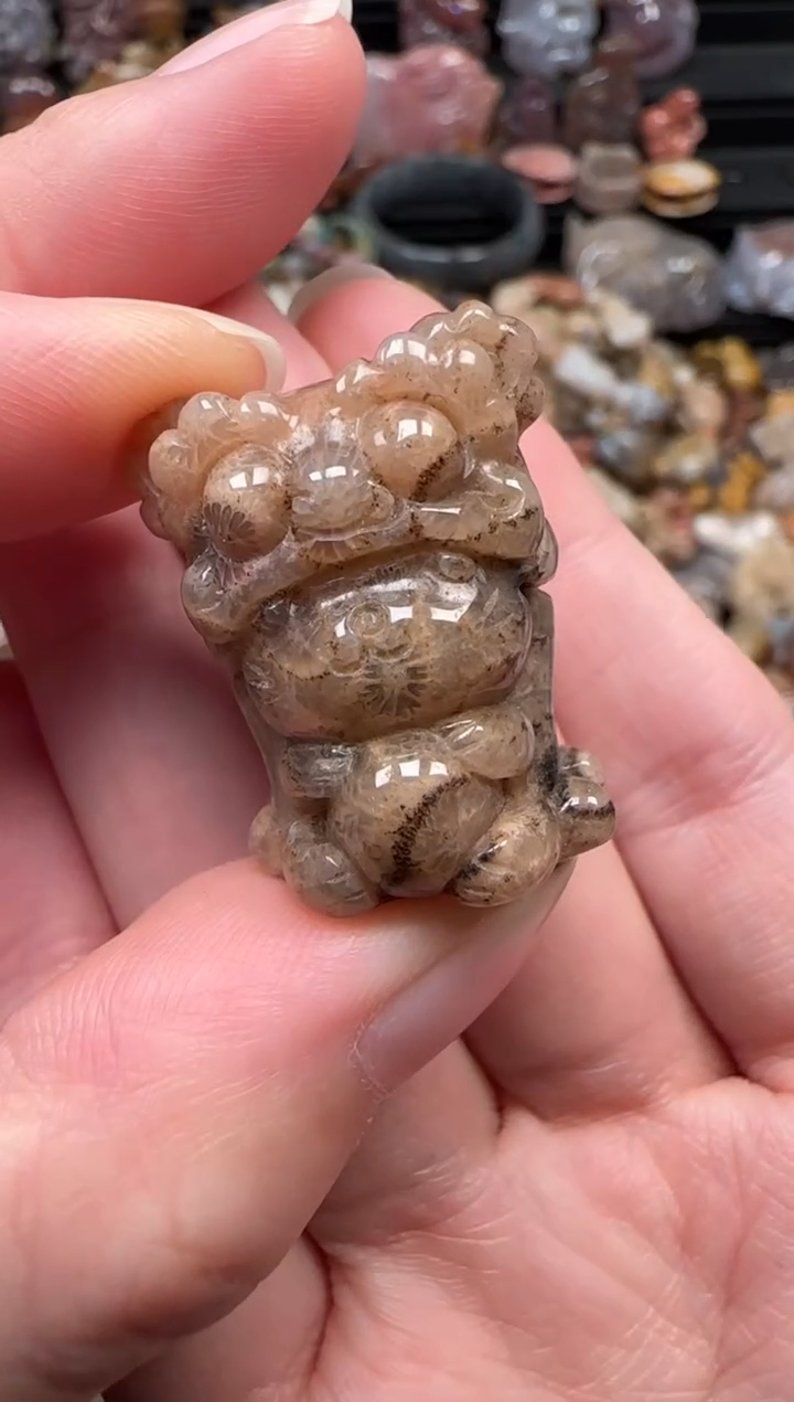 颈饰未镶嵌硅化珊瑚（珊瑚玉）110