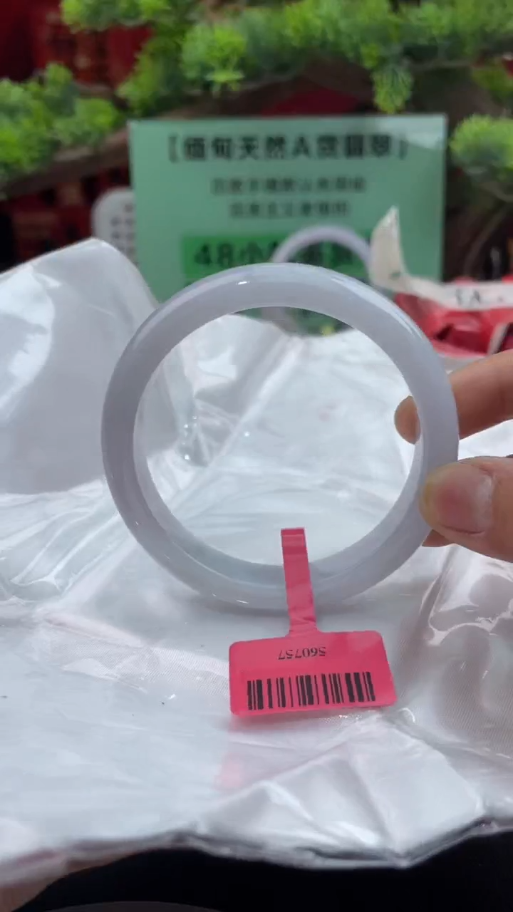 【闪购商品】翡翠手镯未镶嵌翡翠手镯11