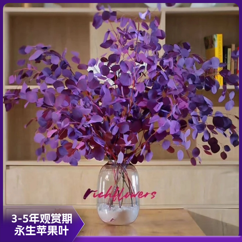 【尤加利叶】AAA永生紫红色尤加利工艺氛围尤加利永生花花束