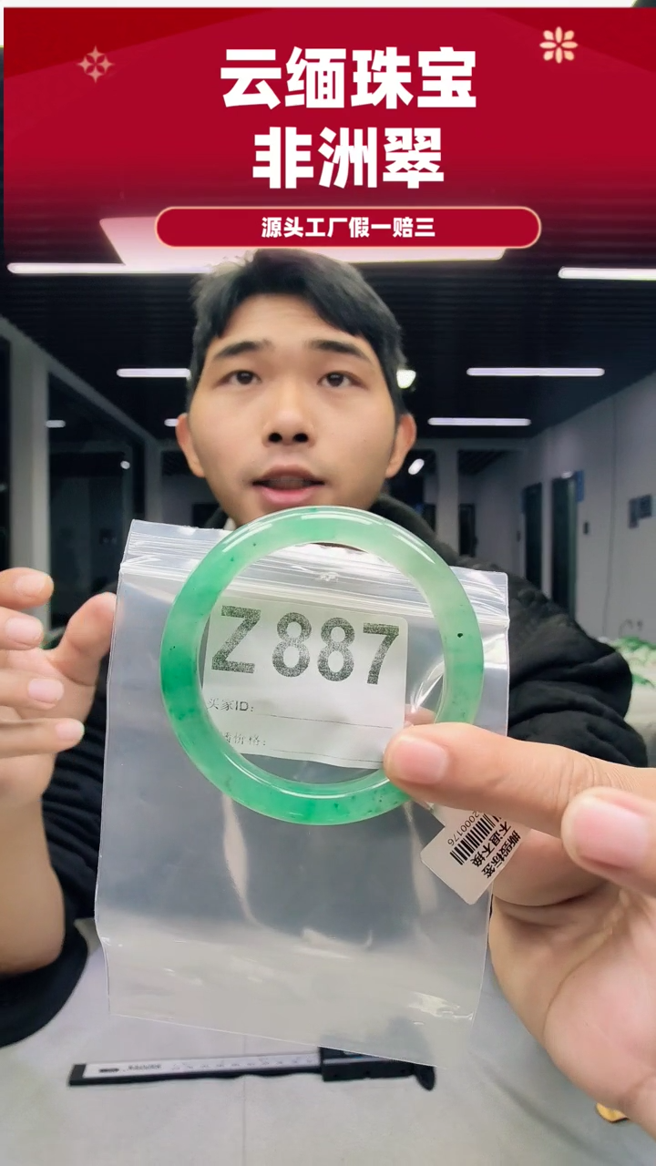 未镶嵌手镯石英质玉（非洲翠）59圈口Z887