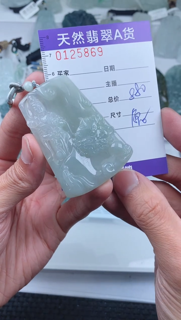 【闪购商品】翡翠颈饰未镶嵌        869