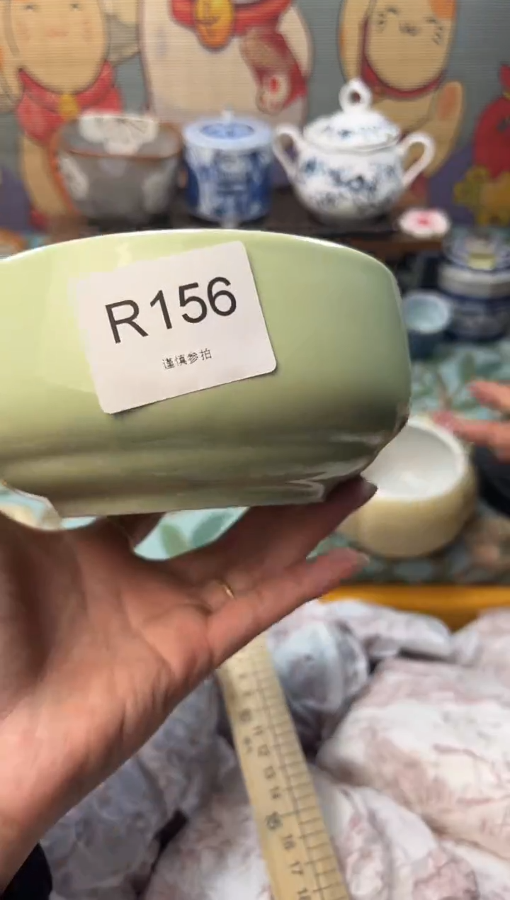 瓷片珊*     R156