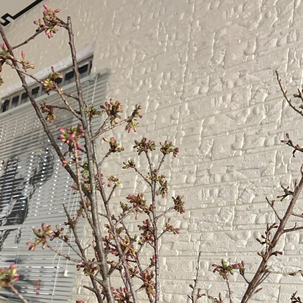 顺丰次日达【 樱花干支  】鲜花任意两单顺丰送货上门