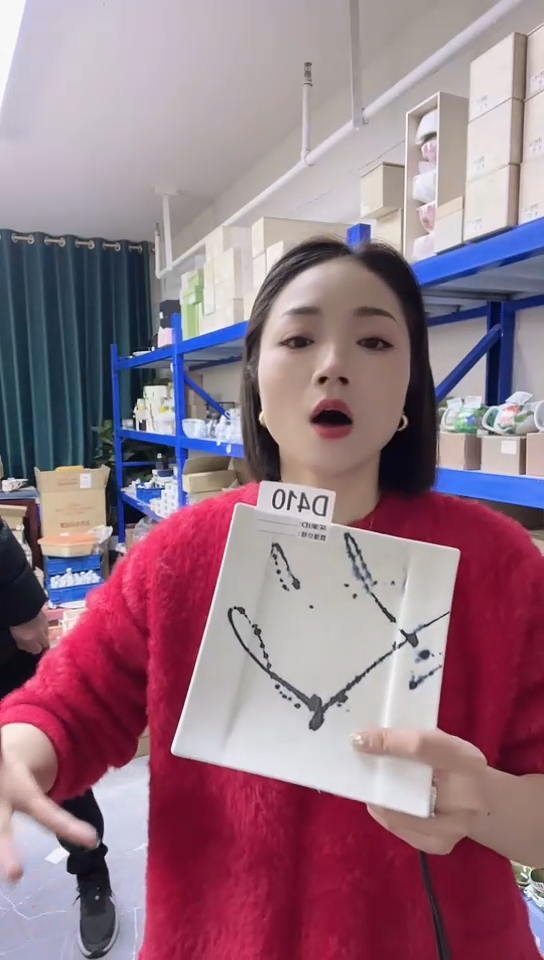 【闪购商品】瓷片高端灶师窑瓷器翔吾17cm方盘D410