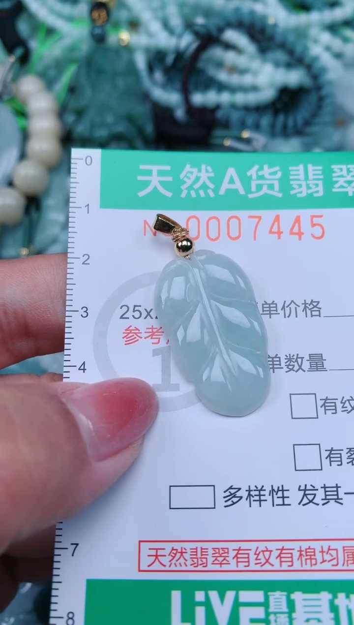 【闪购商品】翡翠颈饰未镶嵌.0007445