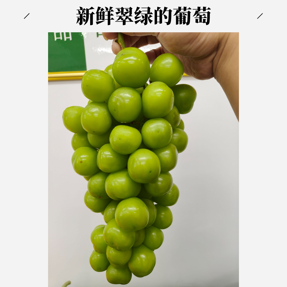阳光玫瑰葡萄约500g湖北省