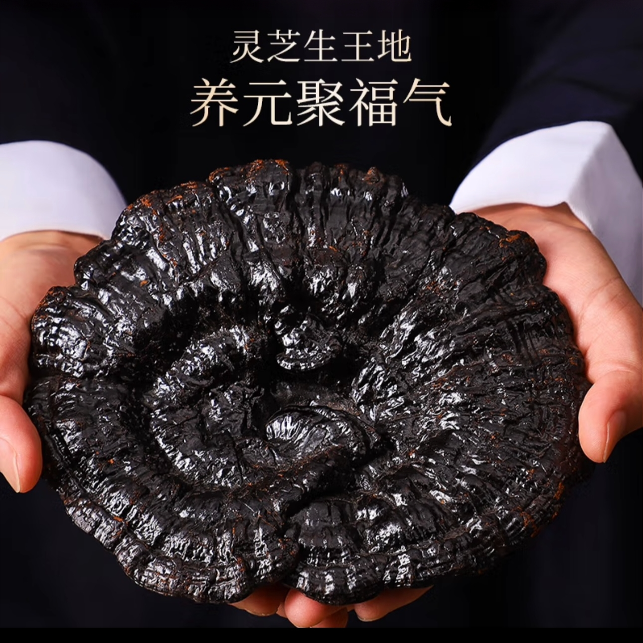 正品野生滋补干货黑灵芝泡酒煲汤泡水