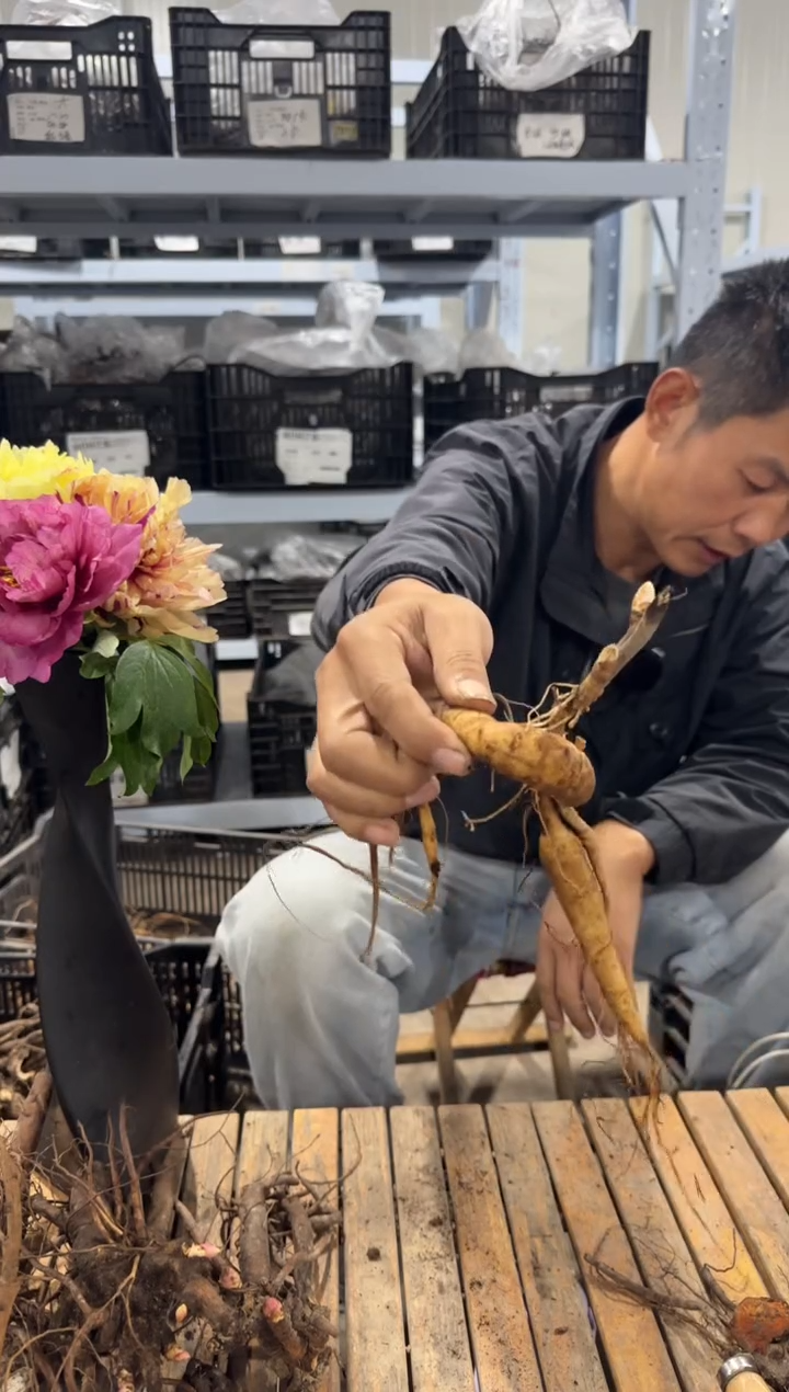 l****099  520  欧文斯