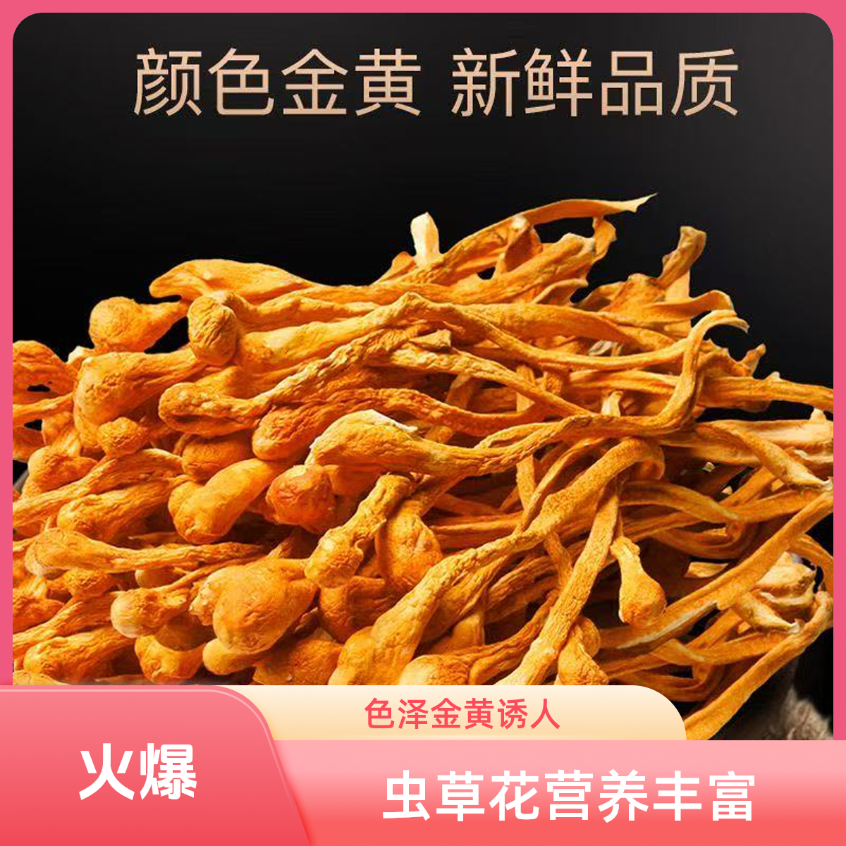 【2025新货】虫草花干货农家新货 炖鸡汤煲汤