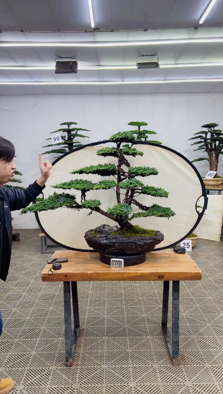 无花朵一物一拍一物一拍