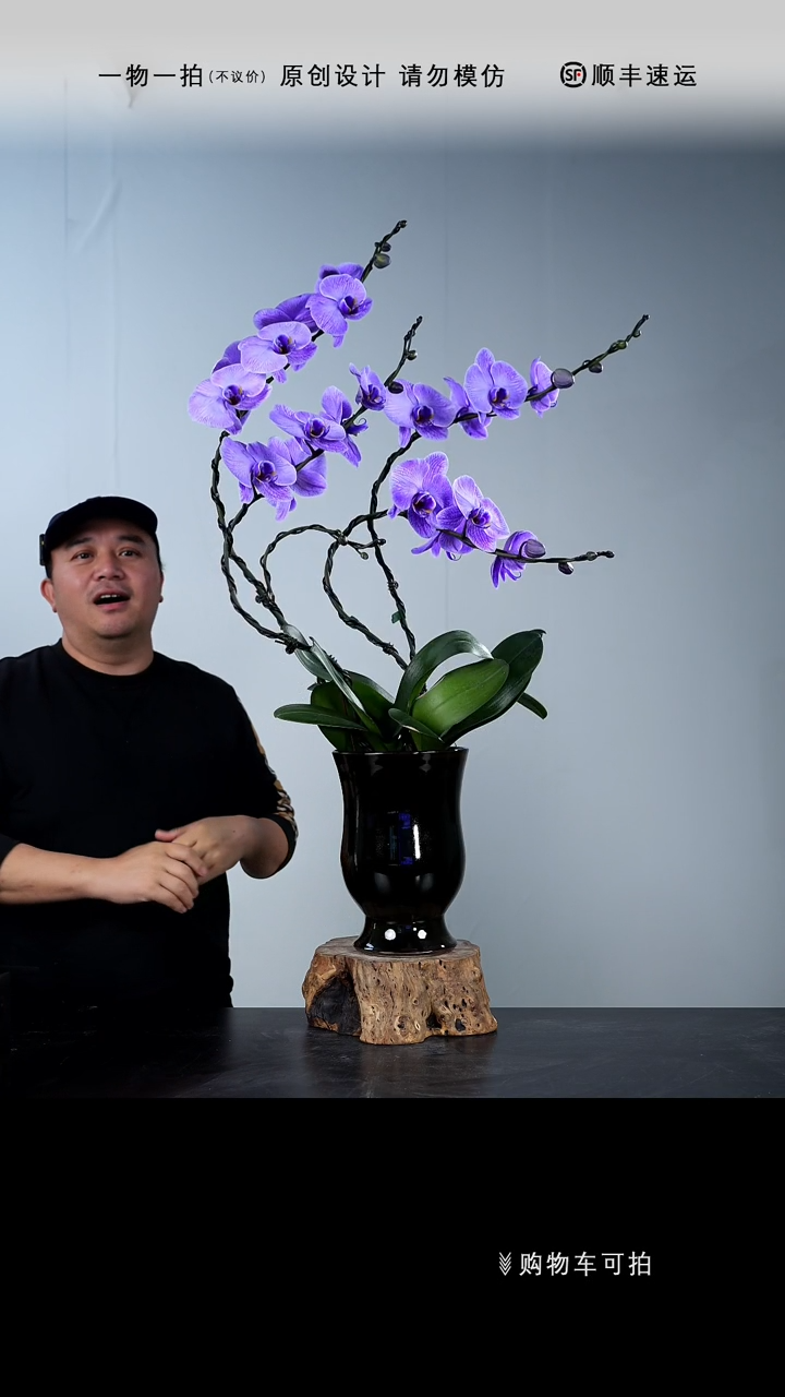 【闪购商品】049号链接【一物一拍】艺术盆景
