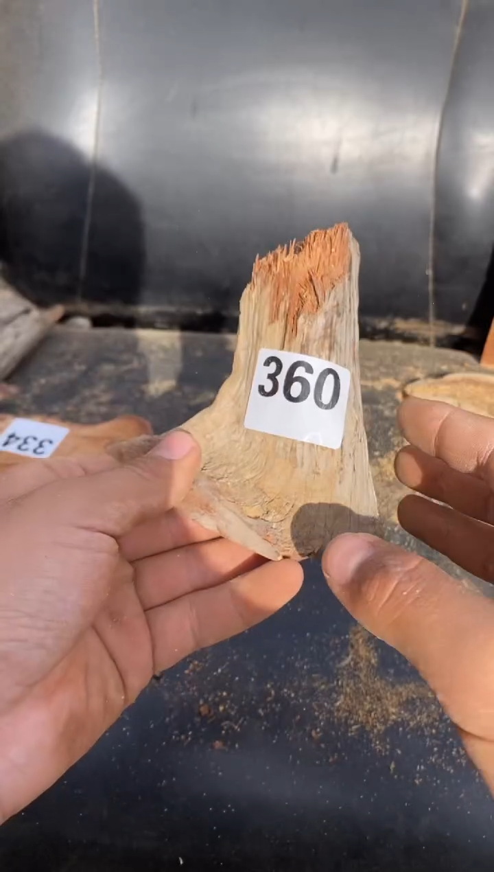 柏木（崖柏）太行陈化崖柏切片！随机（1单1片）360