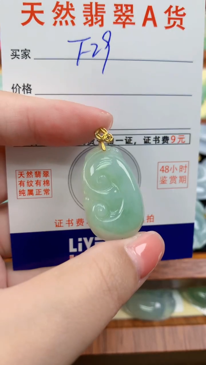颈饰未镶嵌翡翠天然A货翡翠挂件