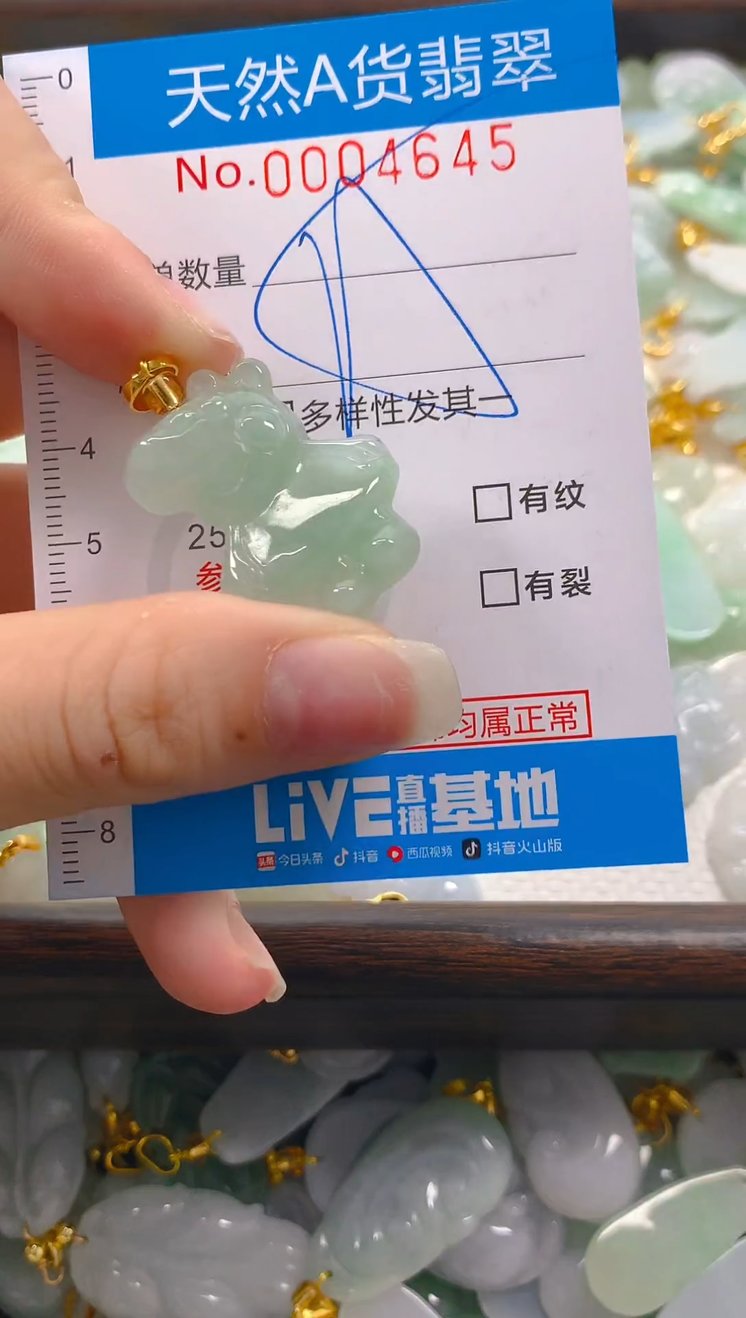 颈饰未镶嵌翡翠净货挂件-4645