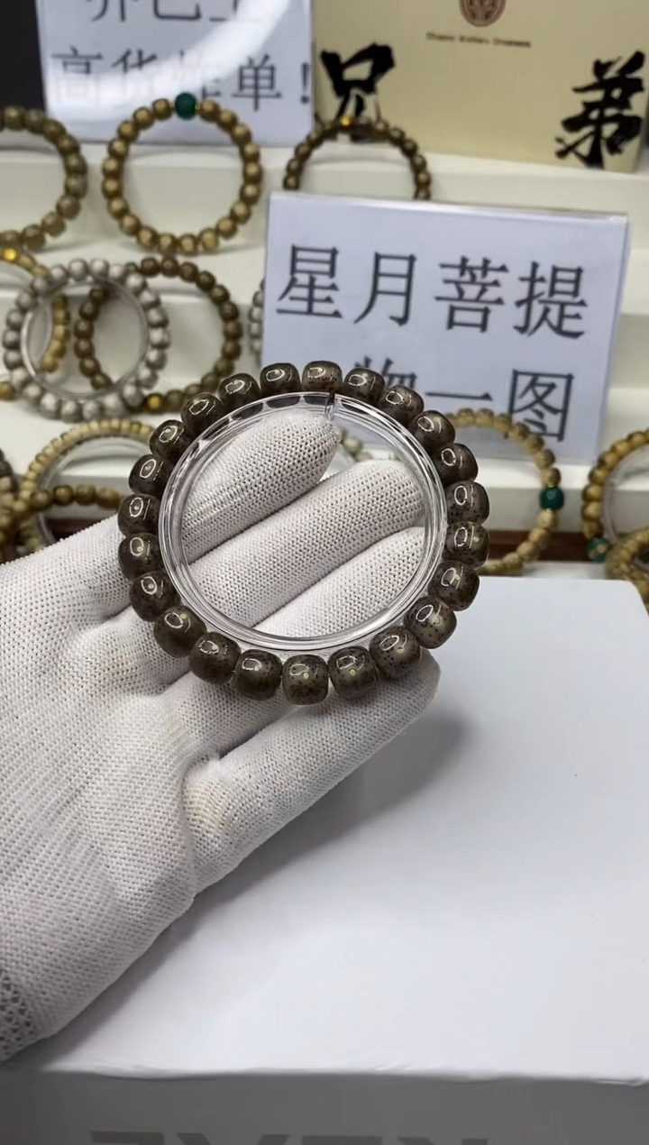 手串星月菩提一物一图-W27-173