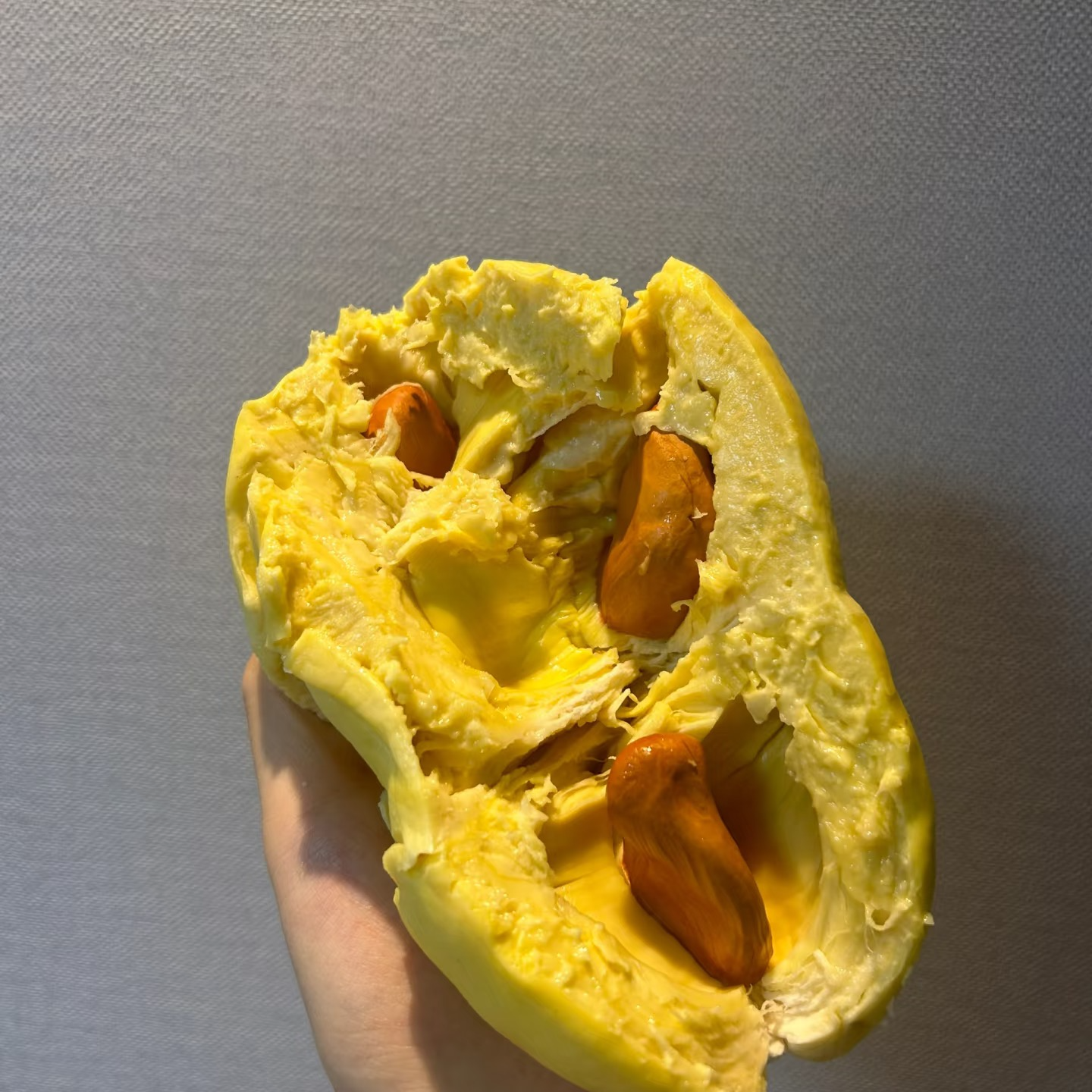 【一物一拍泰国树熟榴莲整果】新鲜树熟金枕榴莲 1-10斤默认开果（核小）金枕泰国