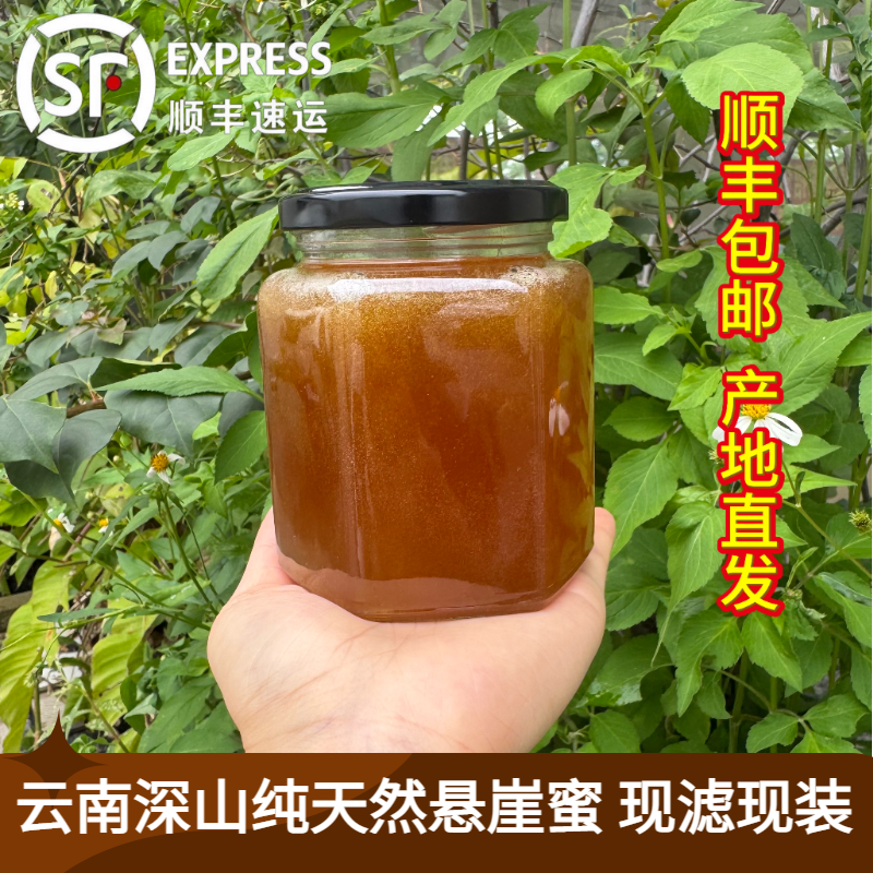 假一赔十【天然悬崖蜜】 现滤现装 云南黑大蜂纯野~悬崖蜜 500克/瓶
