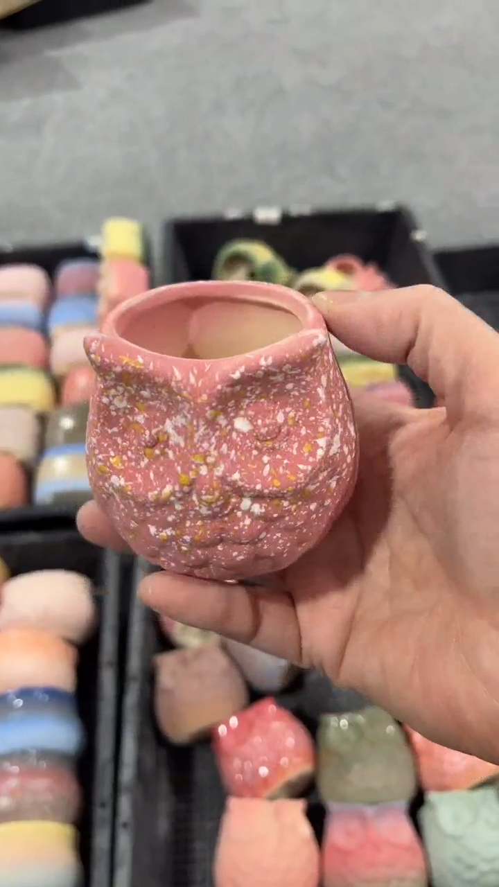 【闪购商品】陶内口  5 内高5