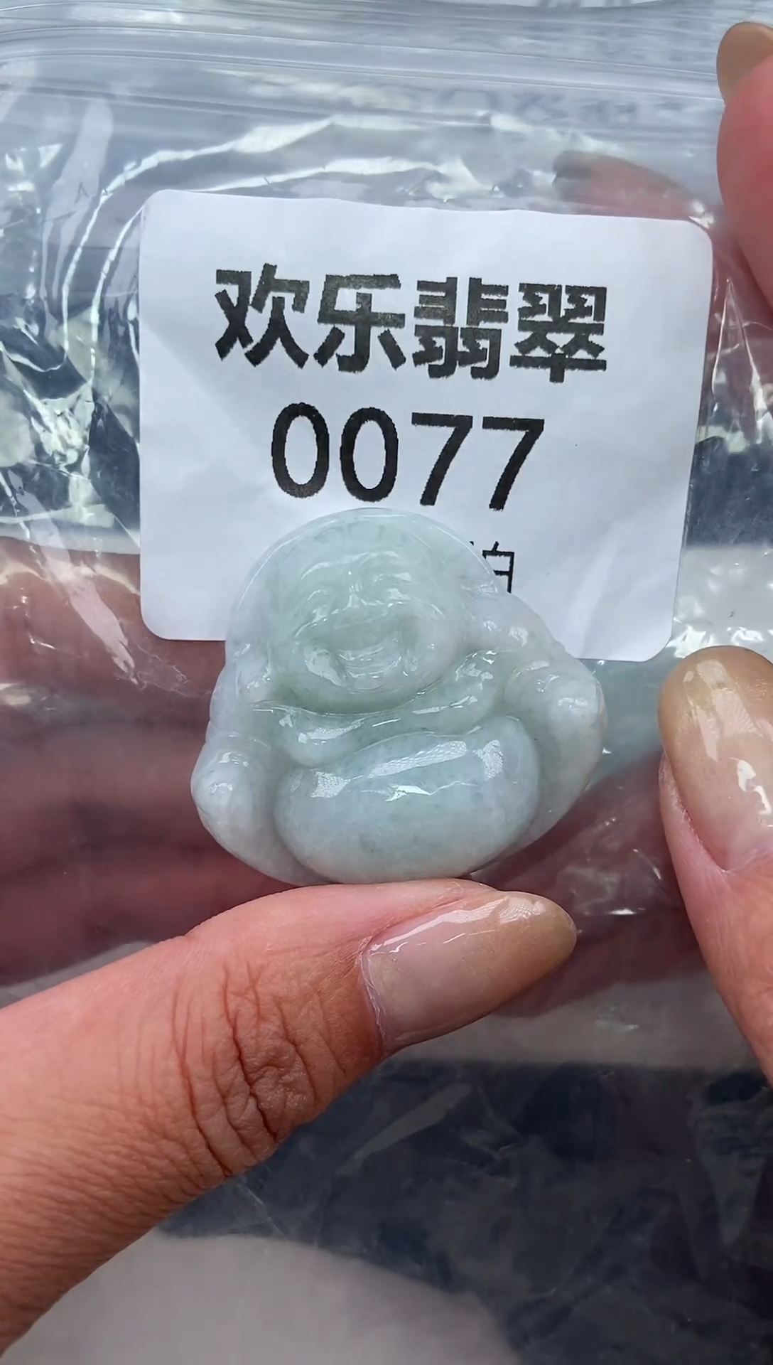 颈饰未镶嵌翡翠缅甸天然翡翠0077