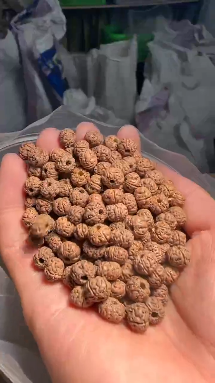 金刚菩提手串非全品老树王7-8mm左右散籽一份一百颗