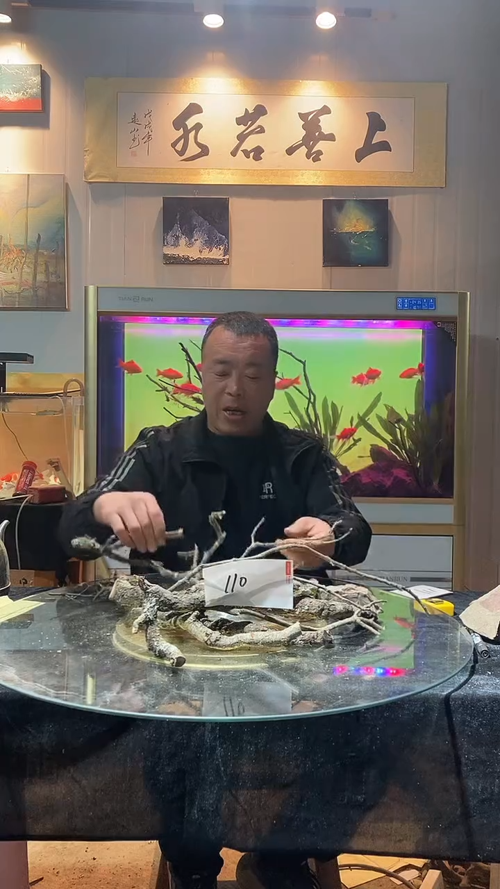 110号天然黄栎木